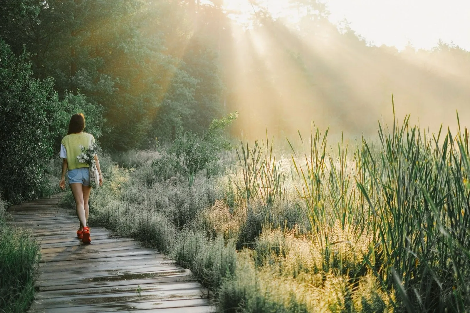 A woman walking at an easy pace along a boardwalk path through green parkland