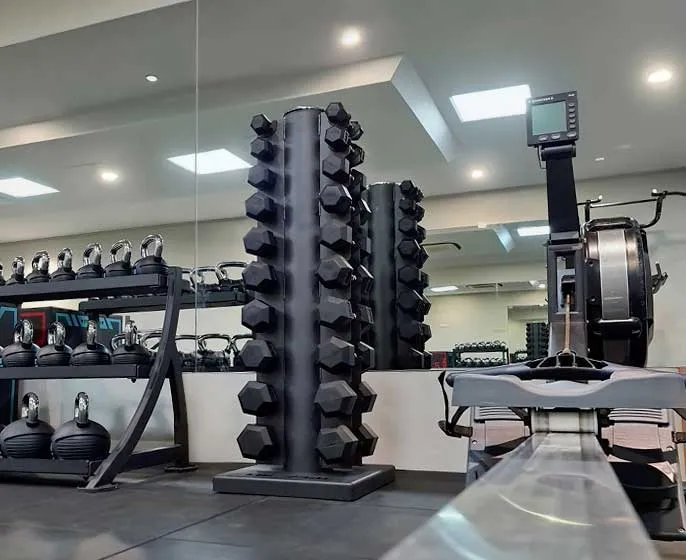 Dumbbell rack and Concept2 rowing machine